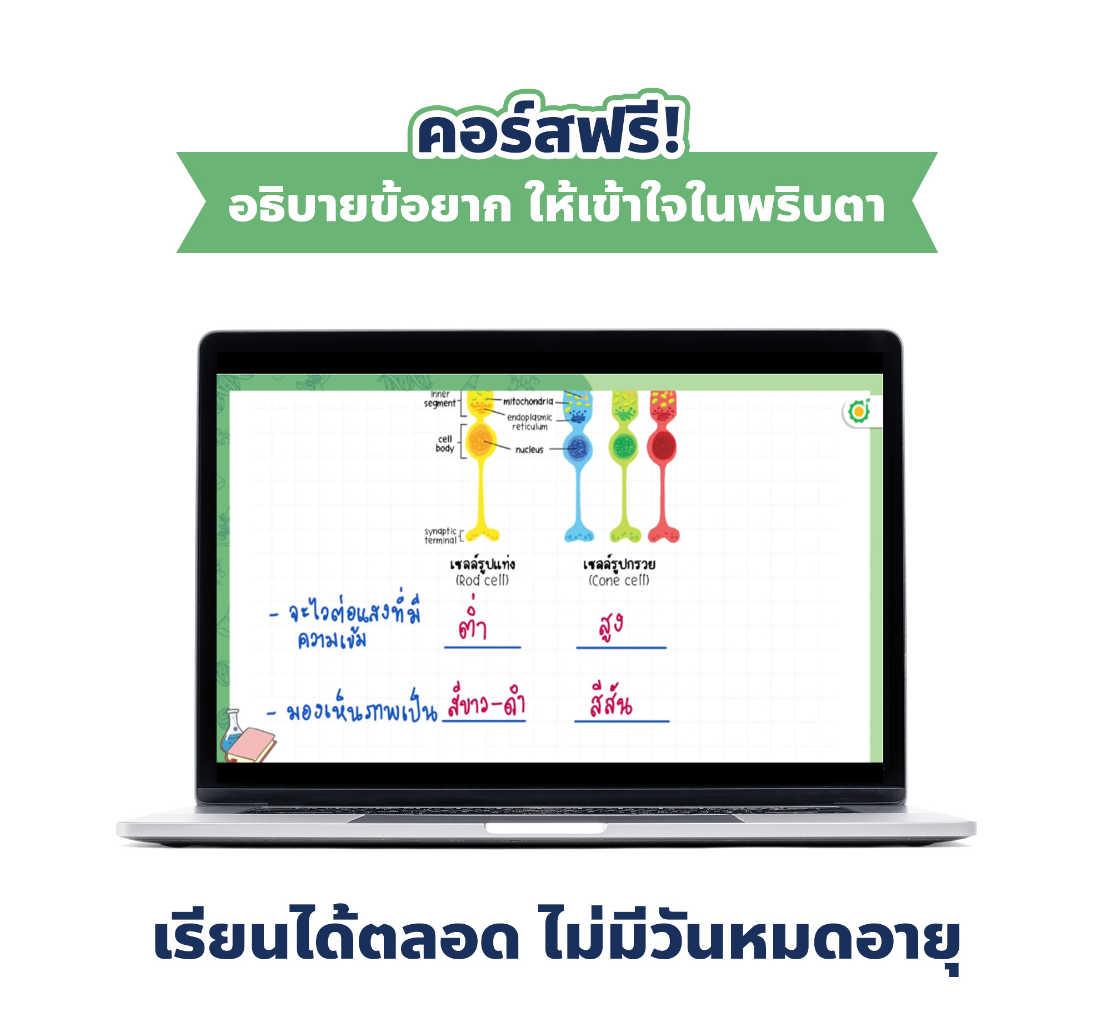 สรุปแนวข้อสอบ A-Level ชีววิทยา